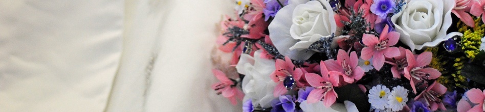 wildflower.jpg wildflower.jpg