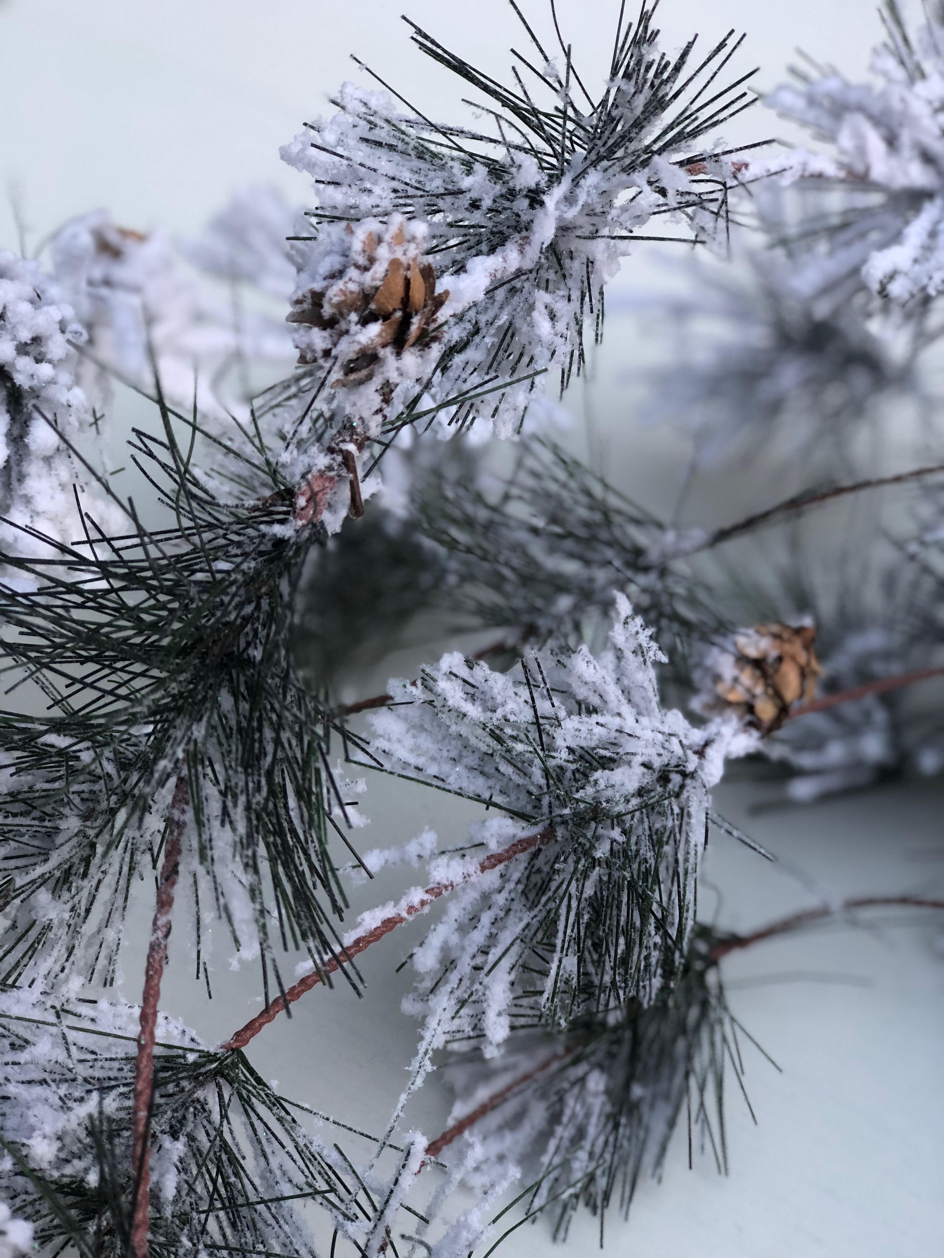 Smokey Pine snow Flocked 30 foot Christmas garland