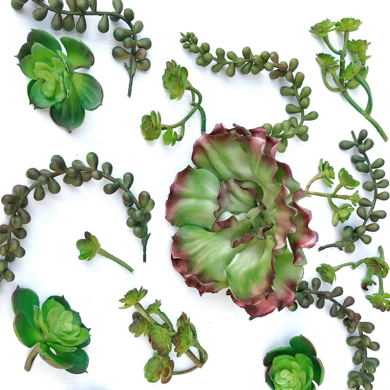 succulent cake decorations package